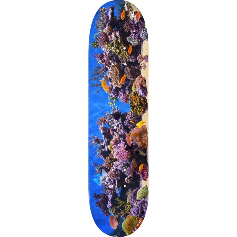 Mini Logo Fish Tank 18 Skateboard Deck 243 - 8.25