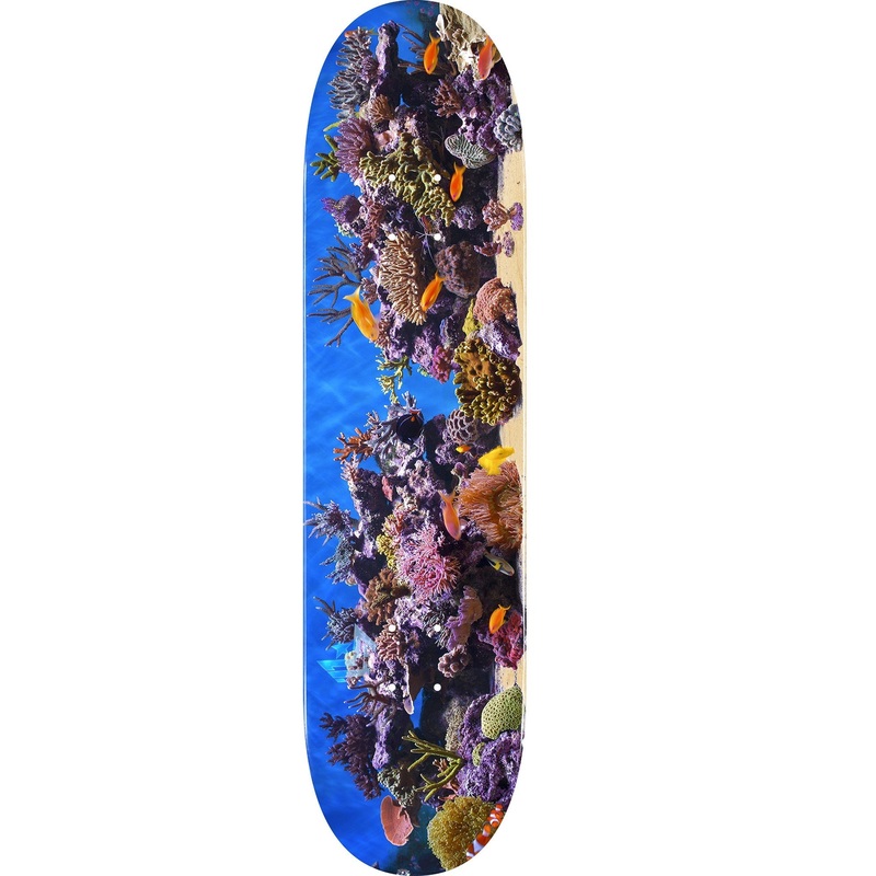 Mini Logo Fish Tank 18 Skateboard Deck 244 - 8.5
