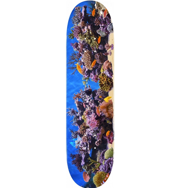 Mini Logo Fish Tank 18 Skateboard Deck 291 - 7.75