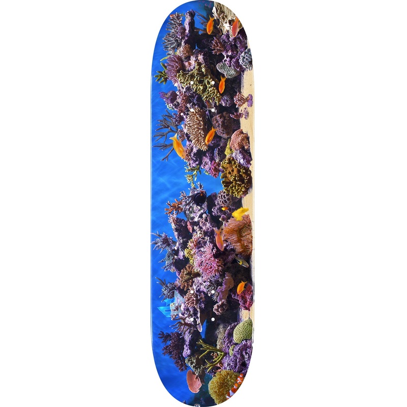 Mini Logo Fish Tank 18 Mini Skateboard Deck 191 - 7.5