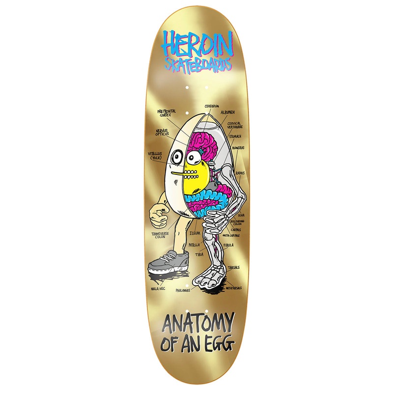 Heroin - Anatomy Of An Egg 8.75 Skateboard Deck